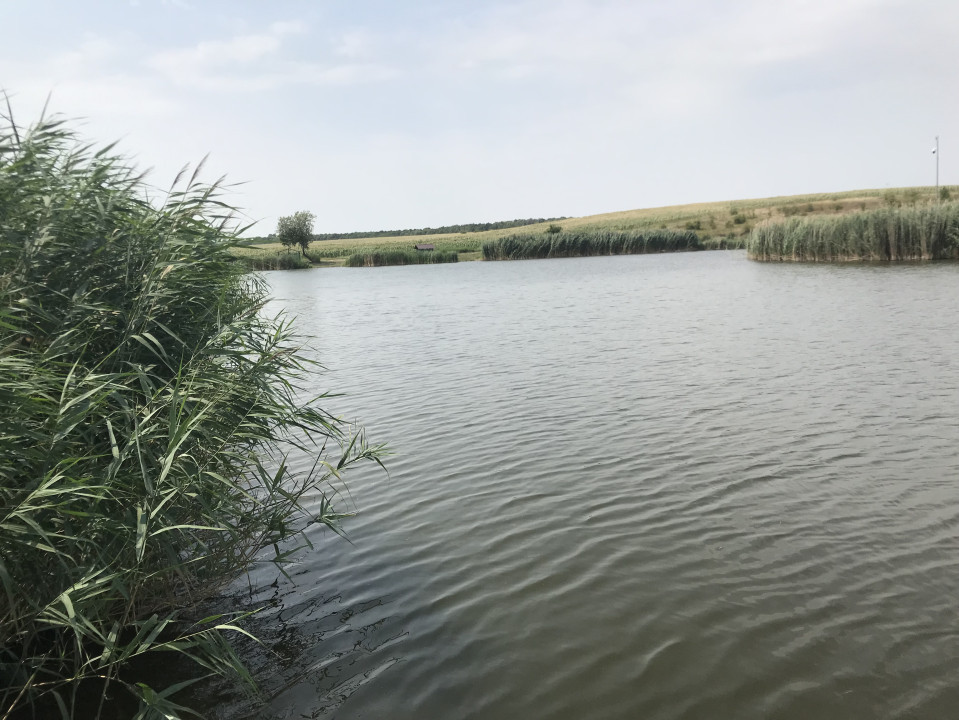 Balta de pescuit populata 90 Ha | Facau Giurgiu