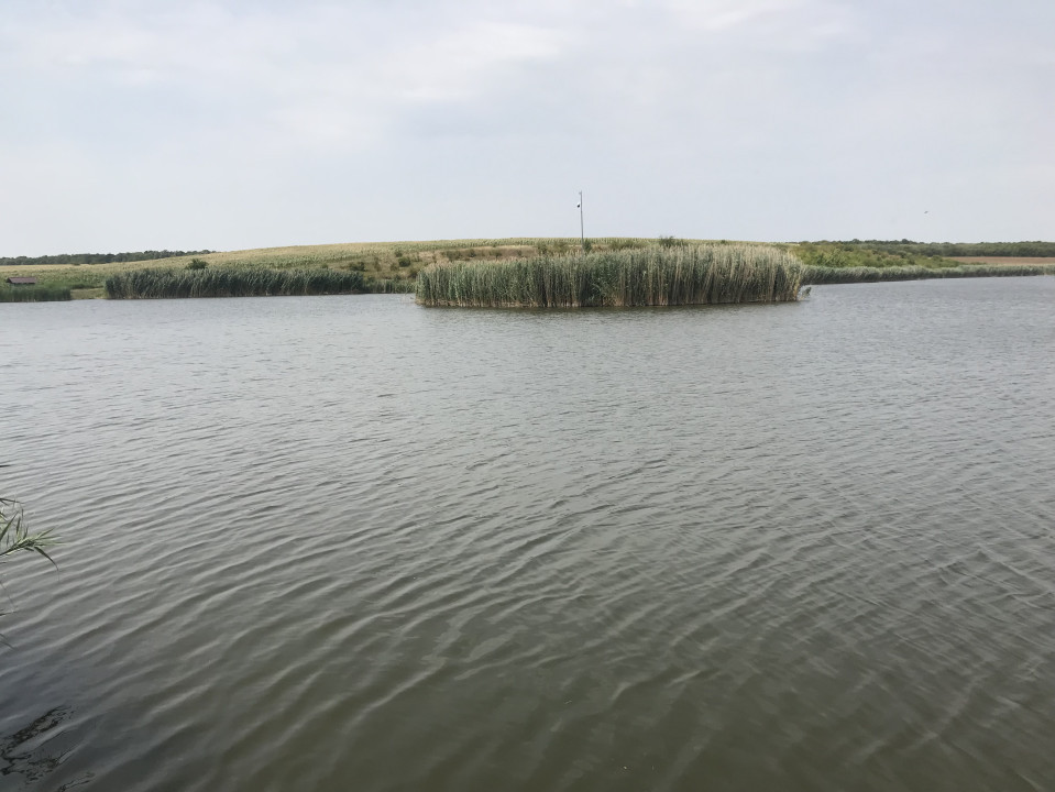 Balta de pescuit populata 90 Ha | Facau Giurgiu