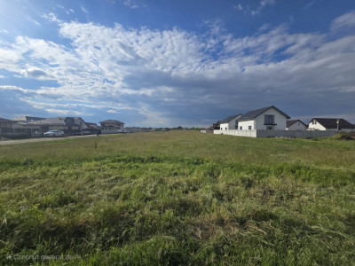Teren intravilan 673 m | Toate Utilitatile | Domnesti- 0rtansei
