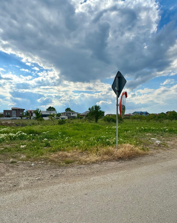 Teren intravilan 10000mp | Toate utilitatile | Zona Domnesti