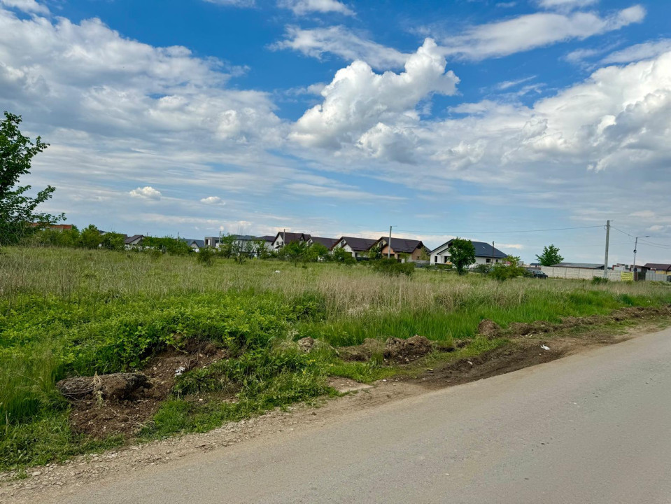 Teren intravilan 10000mp | Toate utilitatile | Zona Domnesti