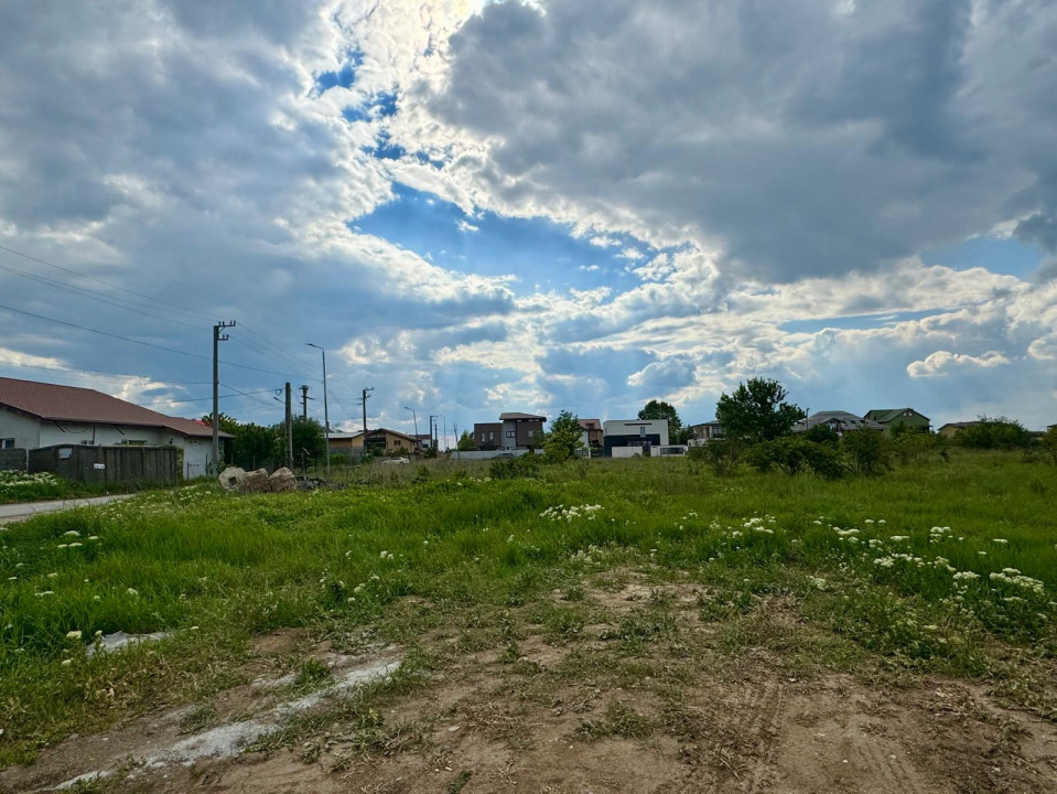 Teren intravilan 10000mp | Toate utilitatile | Zona Domnesti