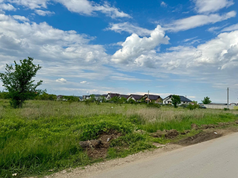 Teren intravilan 10000mp | Toate utilitatile | Zona Domnesti