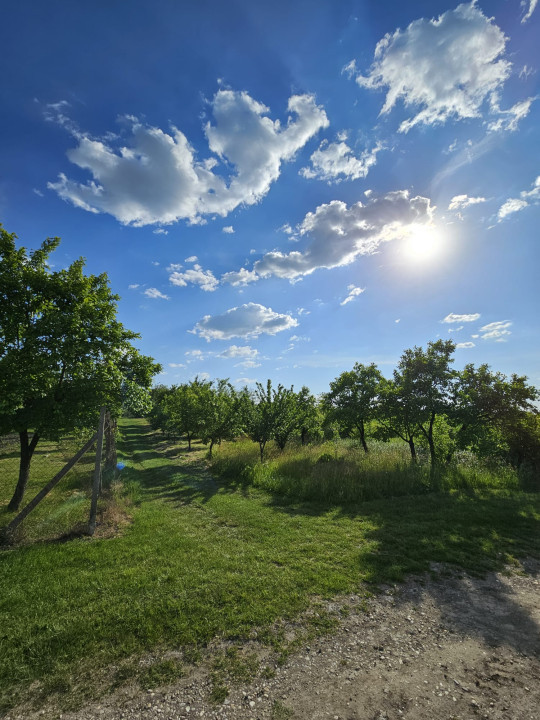 Teren intravilan 1213 m | Stalpu - Giurgiu