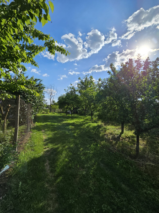 Teren intravilan 1213 m | Stalpu - Giurgiu