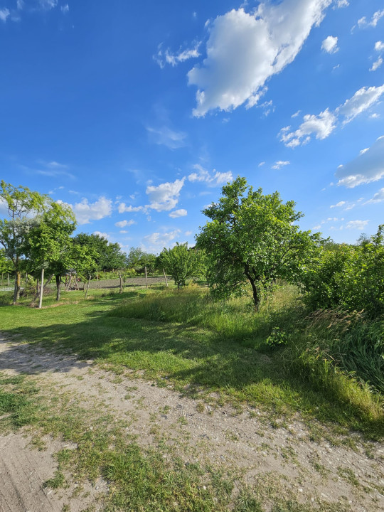 Teren intravilan 1213 m | Stalpu - Giurgiu