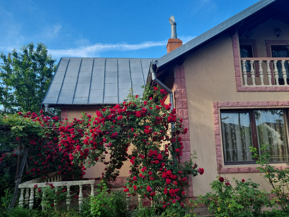 Casa 5 camere | Teren 1000 mp | Oportunitate | Magurele centru