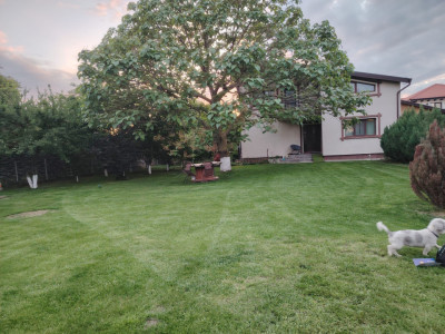 Casa individuala 4 camere | mobilata utilata integral | teren 1000 mp | Magurele
