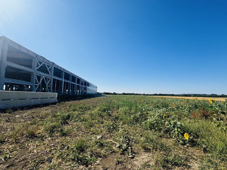 Teren industrial 16300mp | 60X275M | Centura Bucuresti
