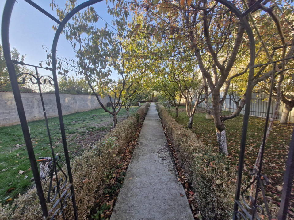 Casa 5 camere | Hala 125 mp | Teren 1500 mp | Magurele Padure